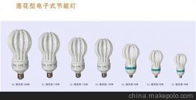 天津金耀辉灯具 汉沽节能灯批发优选，打造绿色照明新体验